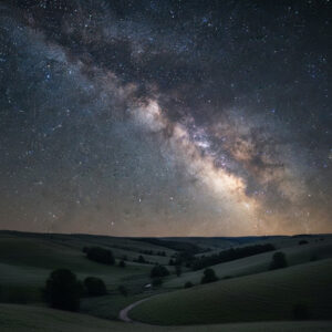 Hilltending: Nature's Path to Wellness - Ecotherapy Consultation